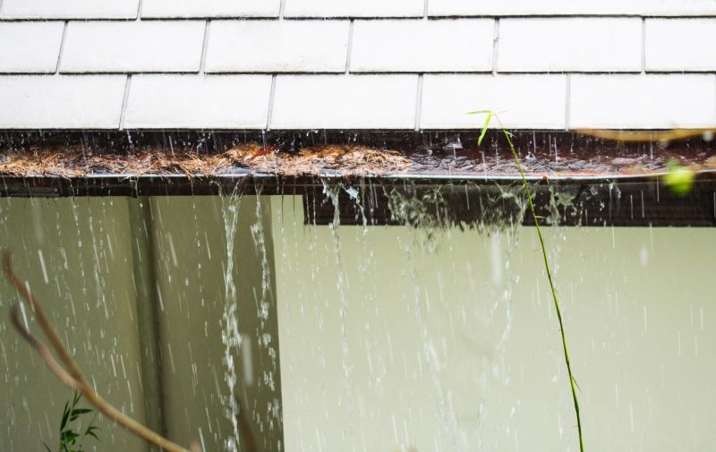 Gutter Blockage Removal in Long Island, NY