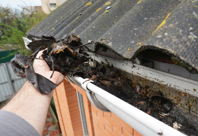 Gutter Blockage Removal in Longmont, CO