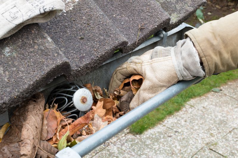 Gutter Blockage Removal in Annapolis, MD