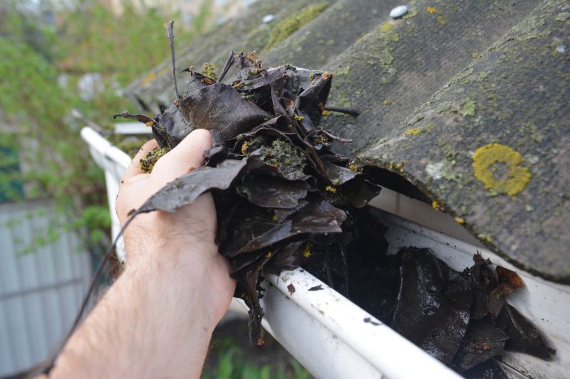 Gutter Cleaning in Richmond, VA