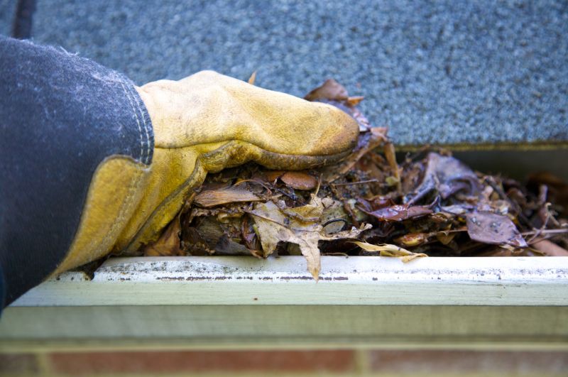Gutter Cleaning in Westchester County, NY