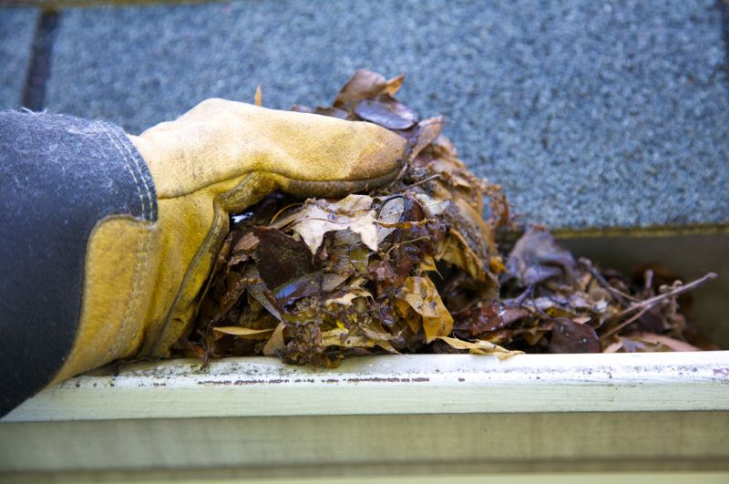 Gutter Leaf Clearing in Westchester County, NY