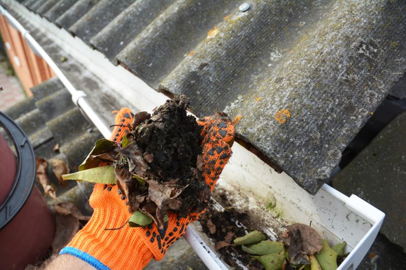 Gutter Leaves Removal in Monmouth County, NJ