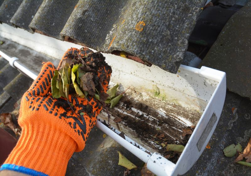 Rain Gutter Clearing in Annapolis, MD