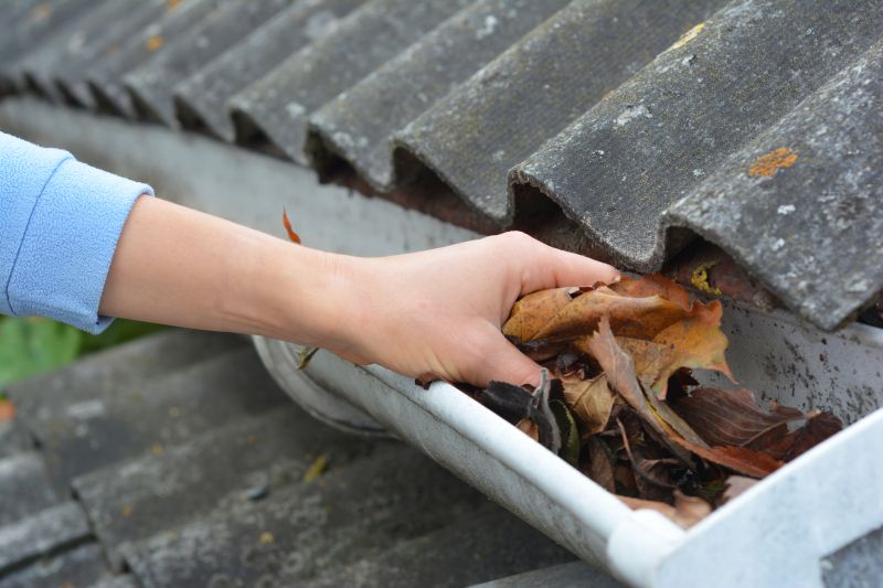 Roof Gutter Cleaning in Frederick, MD